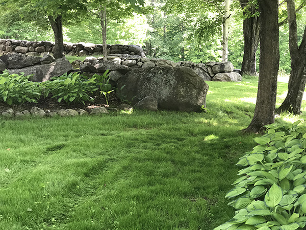 Landscape Managed by Complete Land Organics NH